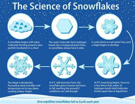 The Science Of Snowflakes Infographic