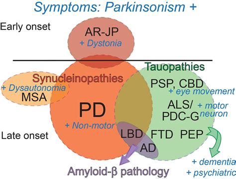 Genetics Of Parkinsons Disease And Related Disorders Journal Of