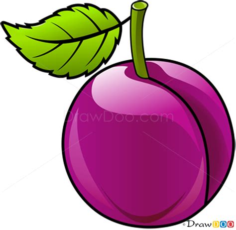 How To Draw Plum Fruits