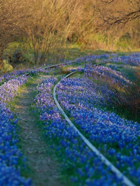 Awesome Things To Do In The Texas Hill Country Story Enchanting Texas
