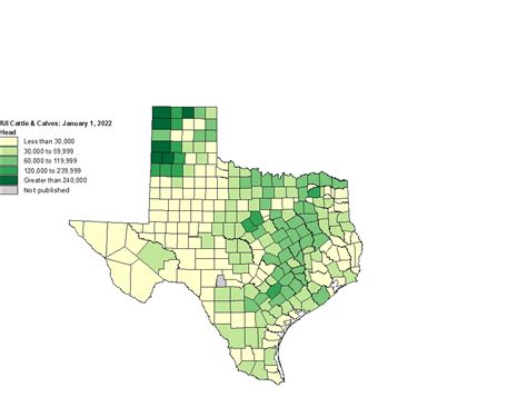 Texas Tier Counties Map