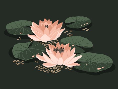 Water Lily By Maria Shanina On Dribbble