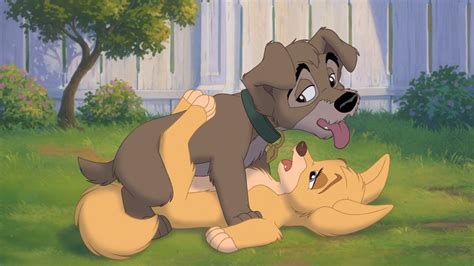 Lady And The Tramp Porn Images Rule 34 Cartoon Porn