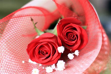 Jun 26, 2018 · dragons in chinese culture don't bear the fearsome reputation of western dragons. What do Flower Colors Mean in Relationships?