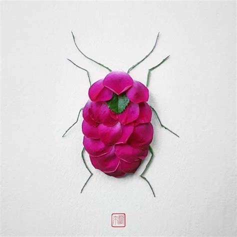 Natura Insects A Series Of Insect Art Floral Arrangements