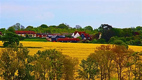 Essex Countryside In Early May Photograph By Loretta S Fine Art America