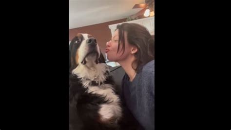 Watch This Dogs Reaction On Man And Woman Kissing It To See Whom It