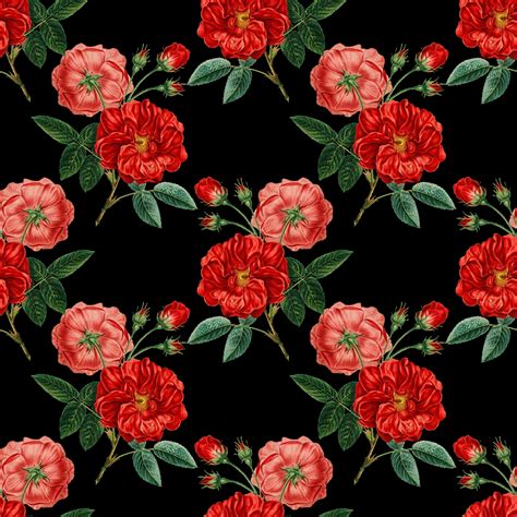 Vintage Roses Background Red Free Stock Photo Public Domain Pictures