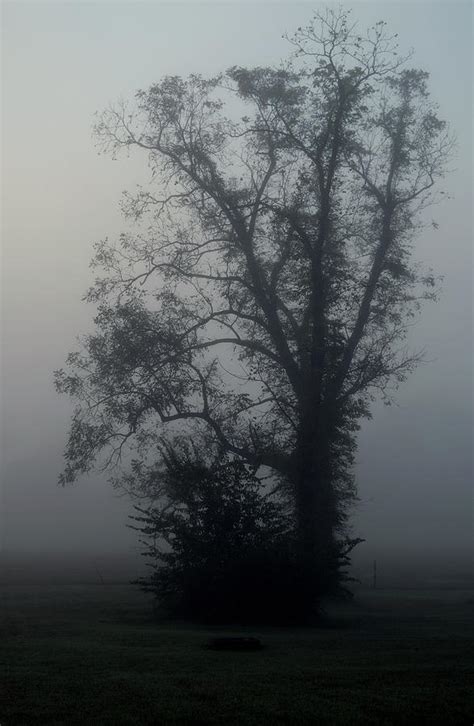 One Foggy Morning Photograph By Karen Harrison Brown Fine Art America