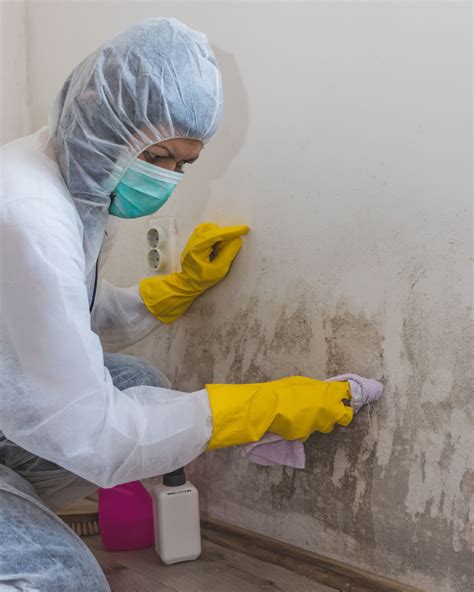 Mold Removal Company Woodstock Ga Mold Remediation Experts