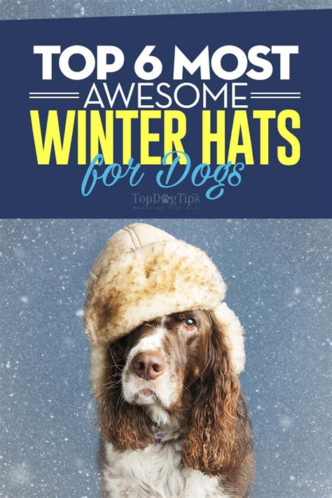 Top 6 Best Winter Hats For Dogs With Style And Warmth In 2018
