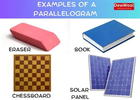 30 Examples Of A Parallelogram Dewwool