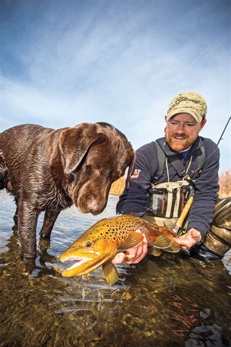 The lake has excellent fishing for perch, with fair fishing for rainbow trout. Brother Rivers Brown Trout - Fly Fisherman