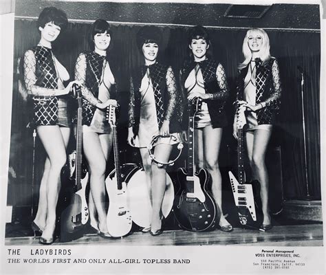 The Ladybirds Band