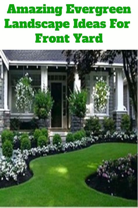 3 Front Yard Evergreen Landscape Design Ideas You Will Love Evergreen