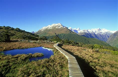 New Zealands Most Scenic Day Hikes Lonely Planet