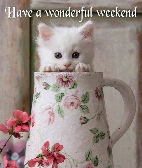 Have A Wonderful Weekend Pictures Photos And Images For Facebook