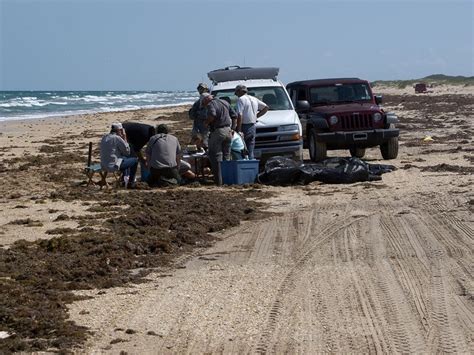 The 5 Best Places For Beach Camping In Texas