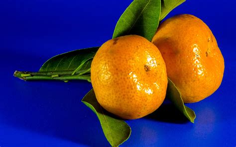 Wallpaper Tangerine Citrus Fruit Hd Widescreen High Definition