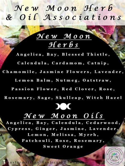 New Moon Herbs And Oils Apothecary Transformational Healing By Dawna