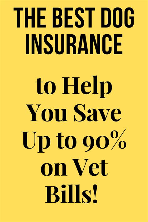 Best Dog Insurance in 2020 | Dog insurance, Pet insurance ...