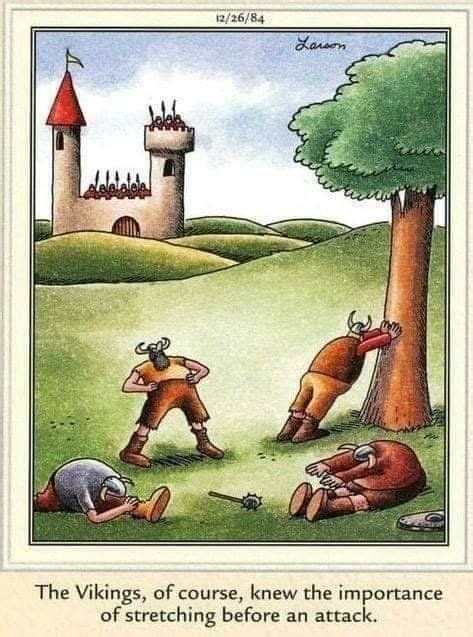 Pin By Vista Viking Festival On May The Norse Be With You Far Side