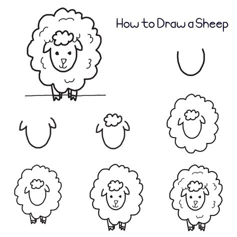 Easy Sheep Drawings For Kids Ray Draw