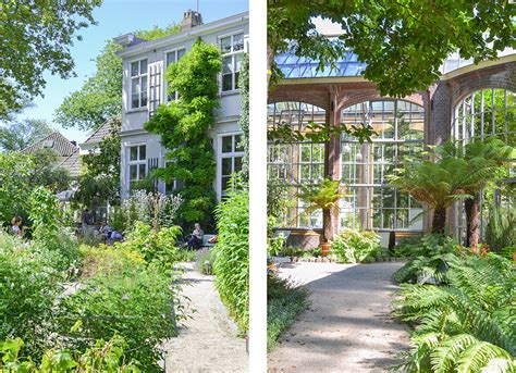 Amsterdam Hortus Botanicus Claire La Paillette Blog Lifestyle D