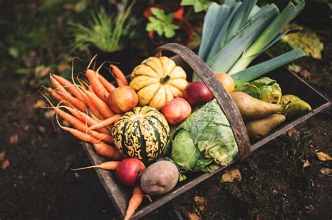 17 Organic Secrets To Turbocharge Your Garden Harvest