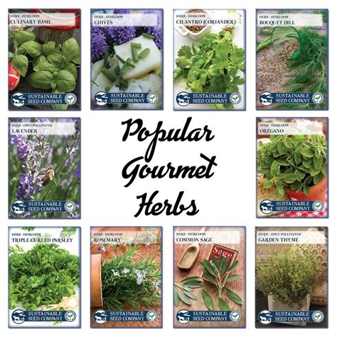 Culinary Herb Seed Collection Heirloom Vegetable Seeds Sustainable