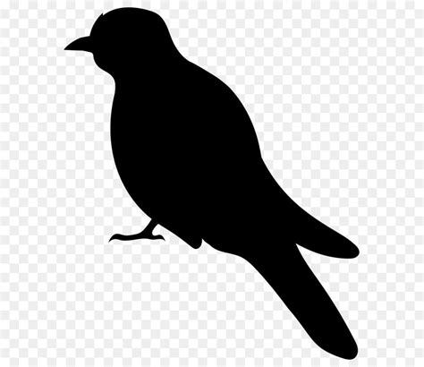 Parrot Bird Silhouette Clip Art Parrot Illustration Png Download