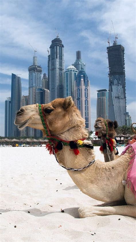 Пин от пользователя Mohammed Al Helal на доске Dubai Туристическая