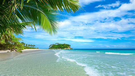 Wallpaper Blue Sea And Sky Beach Coast Palm Trees Tropical Water