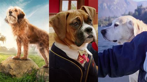 Netflix 10 Películas Y Series Sobre Perros Para Disfrutar En El Servicio Streaming Amigos