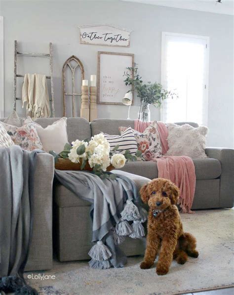 Rummy Ideas Of Pet Friendly Living Room Furniture Pet Friendly Living