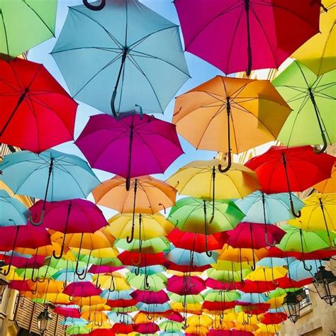 Here S How To Recycle Old Umbrellas
