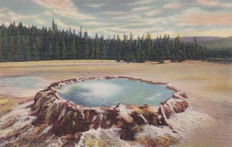 Grand Geyser In Eruption Unused Yellowstone National Park Vintage