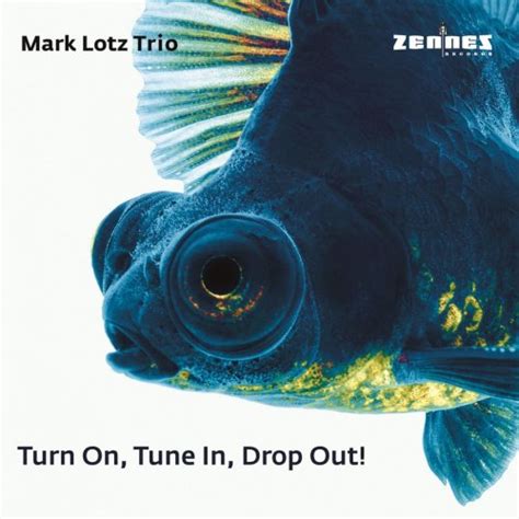 Mark Lotz Trio Turn On Tune In Drop Out 2023 Hi Res