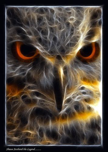 Fractalius Owl Owl Bird Pet Birds Owl Pictures 3d Fantasy