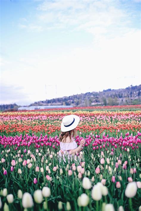 Tulip Fields In Vancouver By To Vogue Or Bust In An Aritzia Silk Skirt