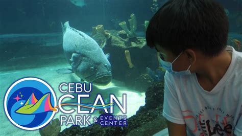 Cebu Ocean Park Sm Seaside Complex Mambaling Cebu City Youtube