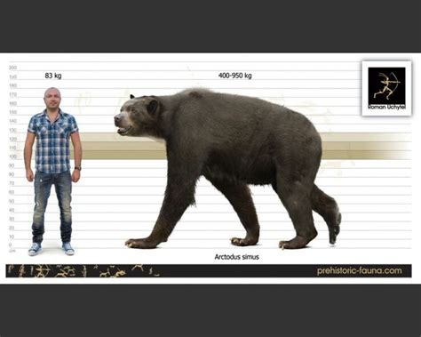 Pin on Prehistoric-fauna animal size comparison charts