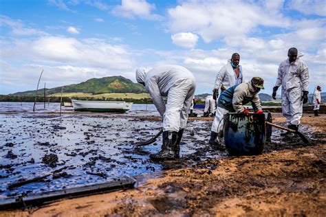 Mauritius Oil Spill Everything You Need To Know And How To Help