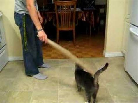 Shädbase комиксы shädman artist эро комиксы. My Cat Likes To Be Hit - YouTube