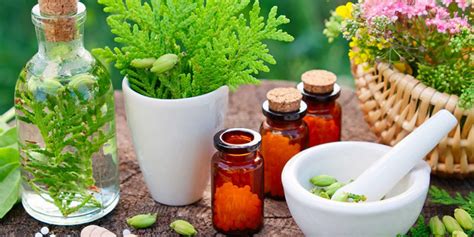 Top Homeopathic Plants Remedies And Their Uses