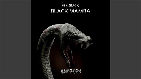 Black Mamba Youtube
