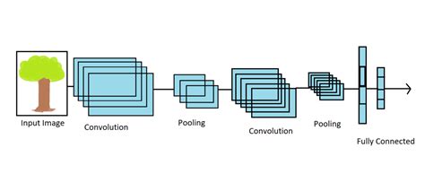 Common Architectures In Convolutional Neural Networks Vrogue Co