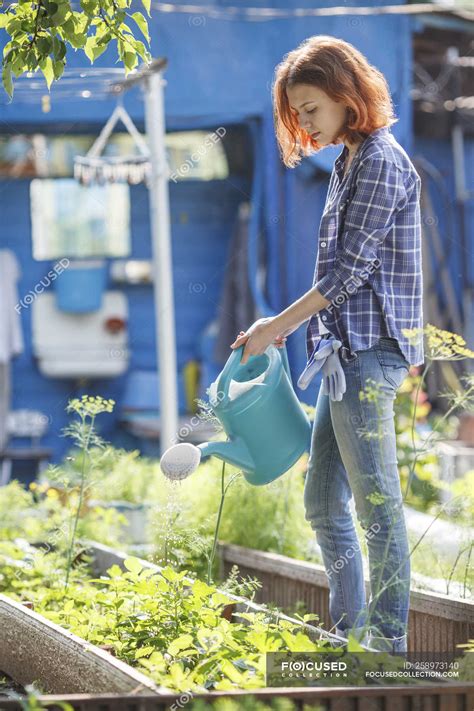 15 Woman Watering Plants Benjaminjoshiah