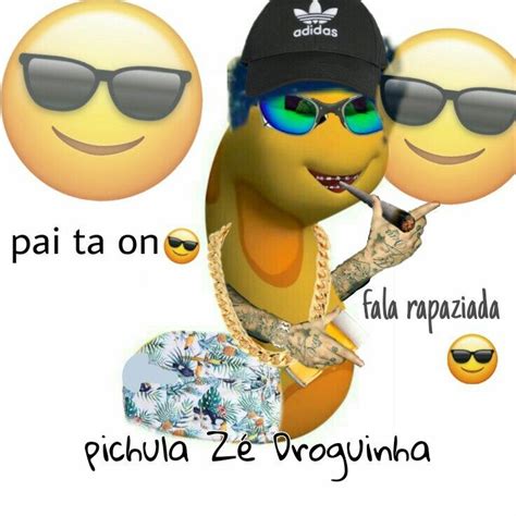 Pichula Zé Droguinha Memes Zueira Memes Engraçados Memes