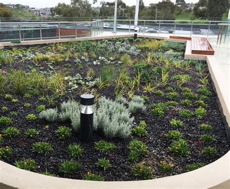St Bernards College Melbourne Roof Garden And Fytowall Fytogreen Australia